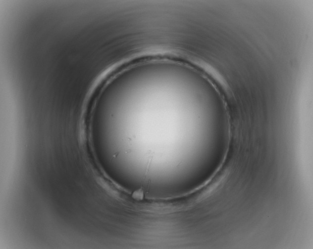 X0000114200927200910091249