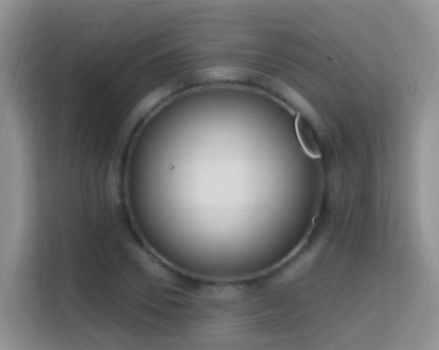 X0000114200930200910091249