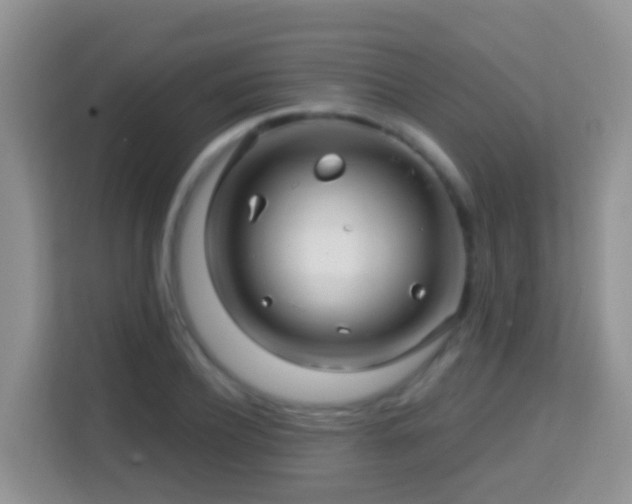 X0000114200932200910091249