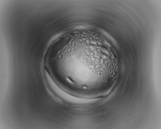 X0000114200938200910091249