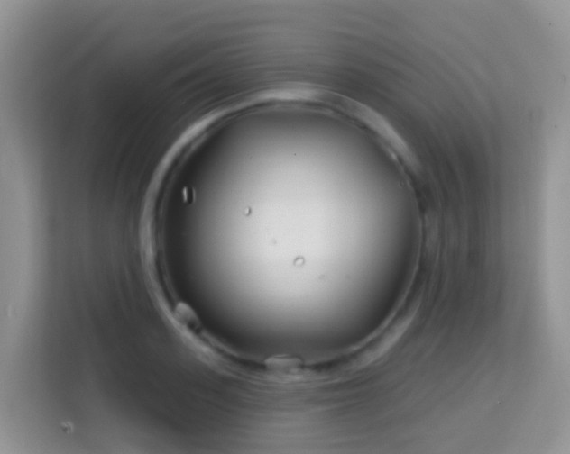 X0000114200939200910091249
