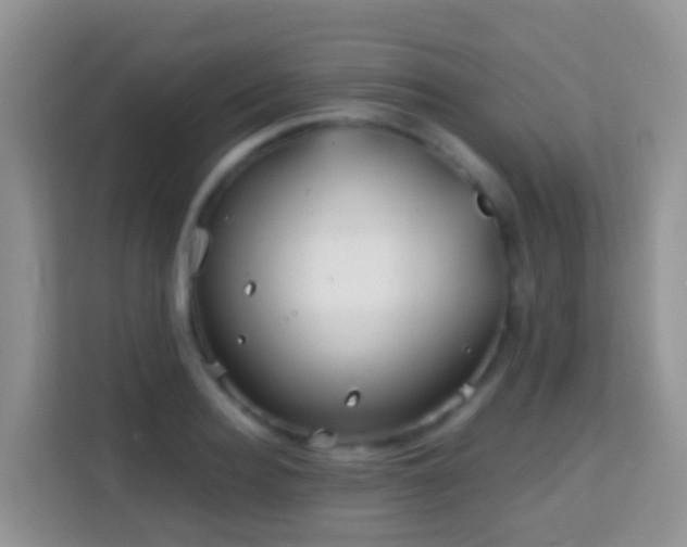 X0000114200940200910091250