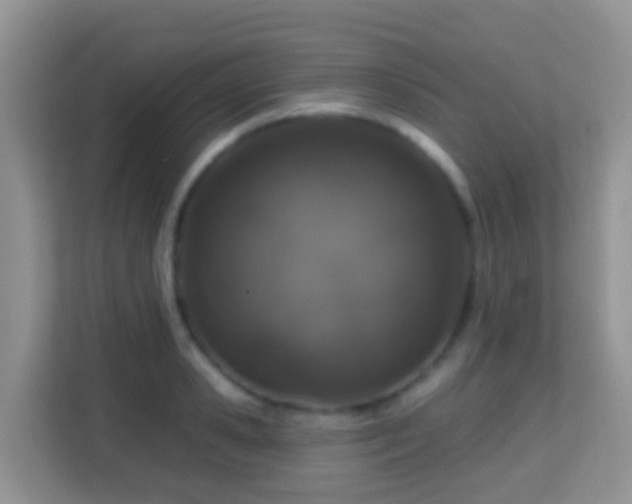 X0000114200941200910091250