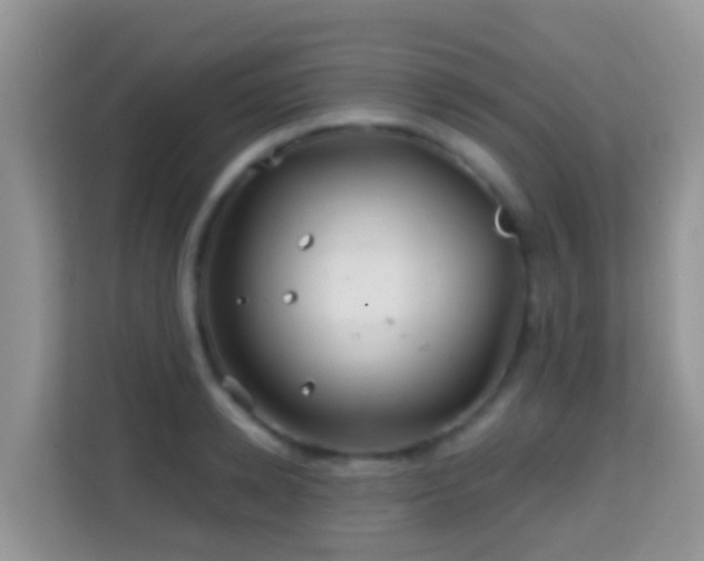 X0000114200942200910091250