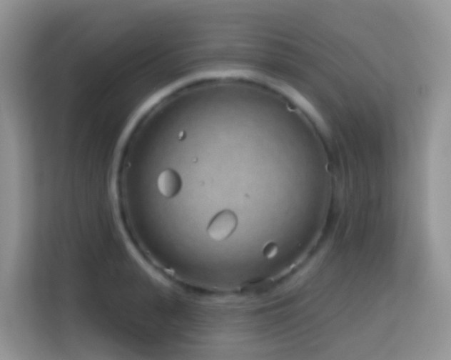 X0000114200943200910091250