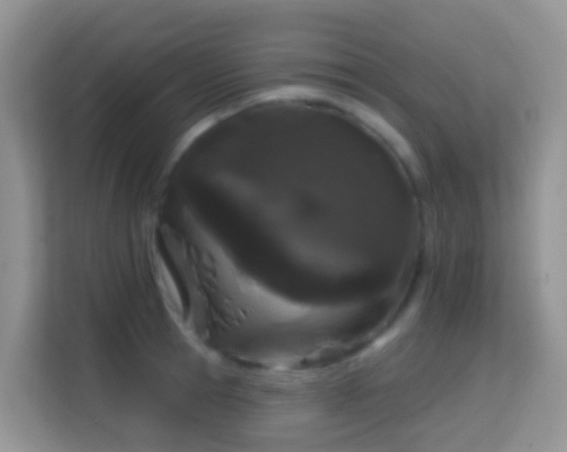X0000114200945200910091250