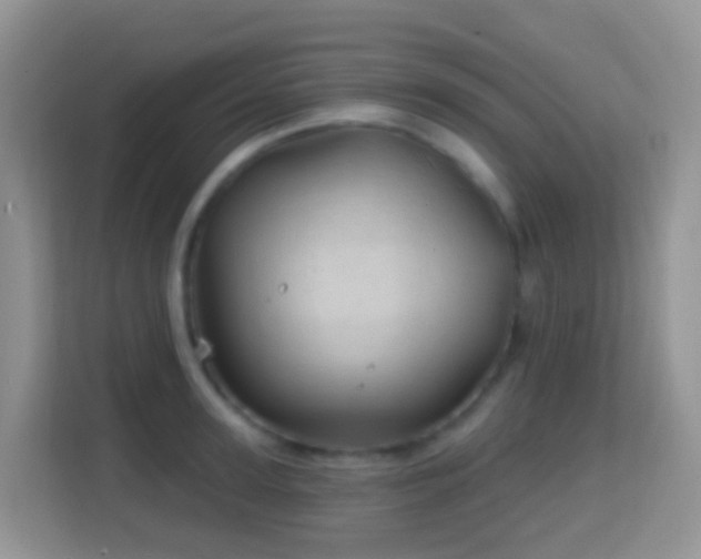 X0000114200947200910091250