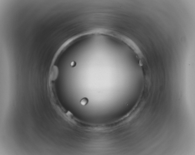 X0000114200948200910091250