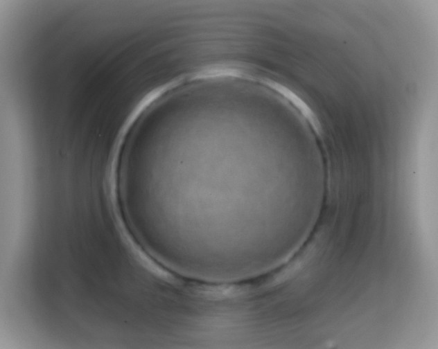 X0000114200949200910091250