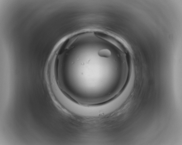 X0000114200950200910091250
