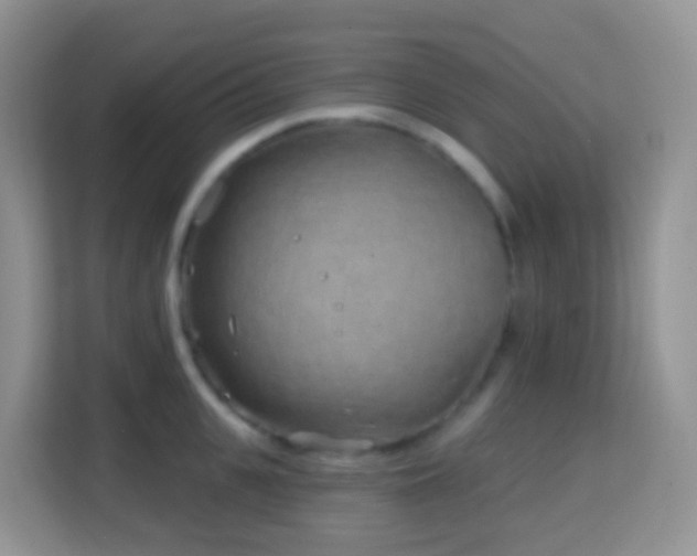 X0000114200951200910091250
