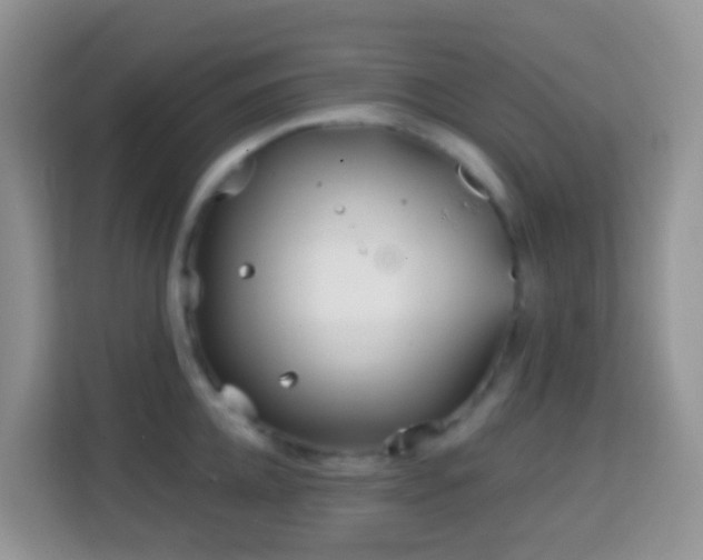 X0000114200952200910091250