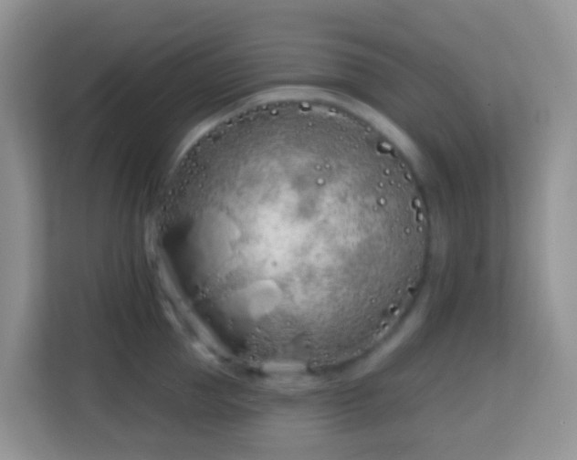 X0000114200953200910091250