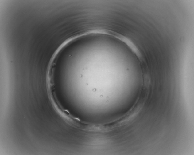 X0000114200955200910091250