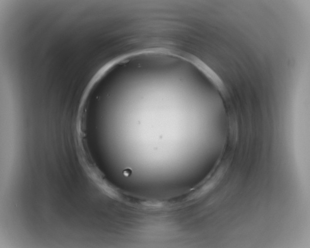 X0000114200956200910091250