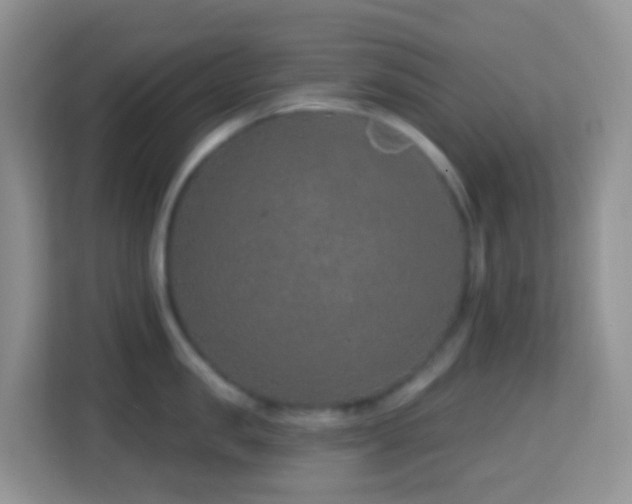 X0000114200957200910091250