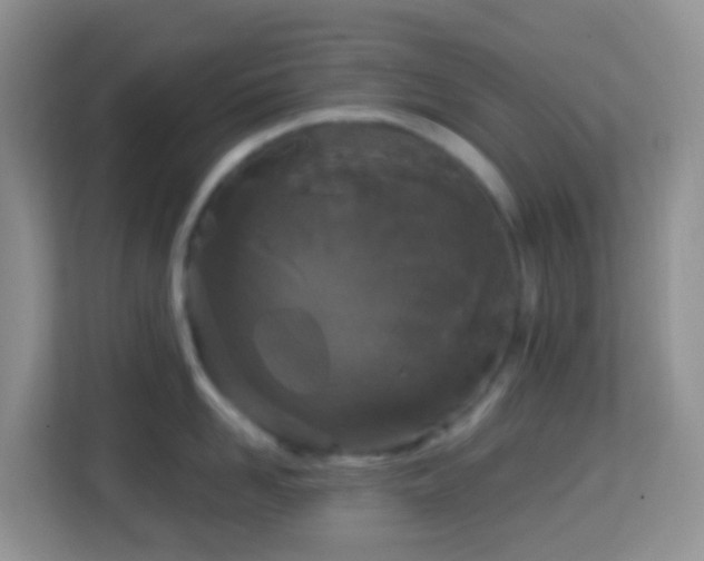 X0000114200958200910091250