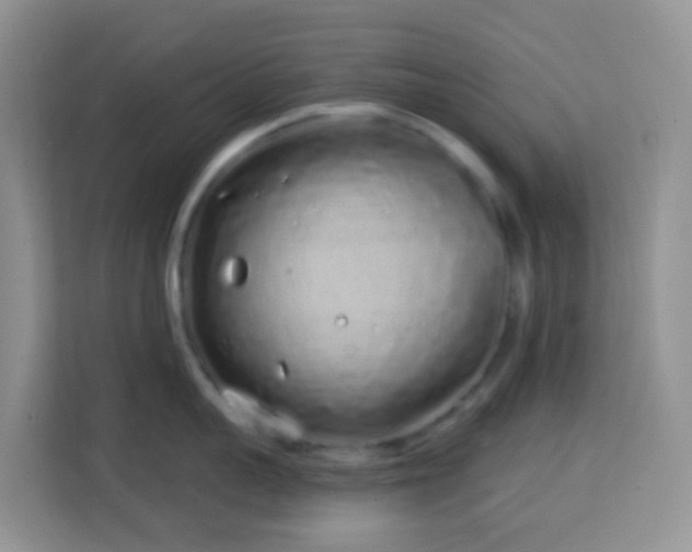 X0000114200959200910091250