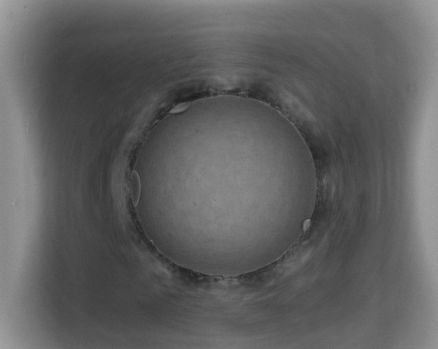 X0000114200961200910091249