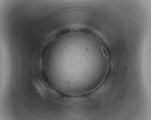 X0000114200964200910091249