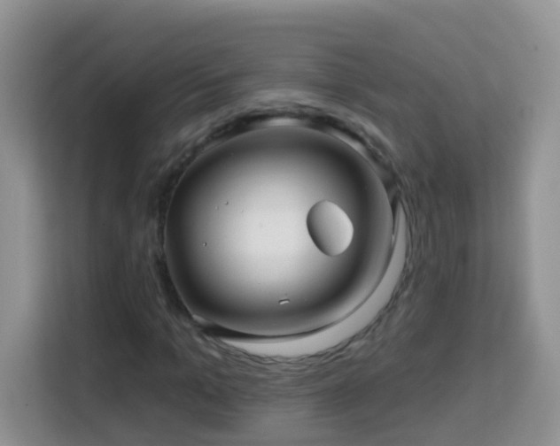 X0000114200965200910091249