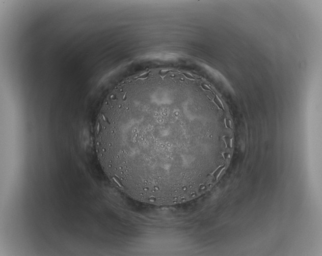 X0000114200966200910091249