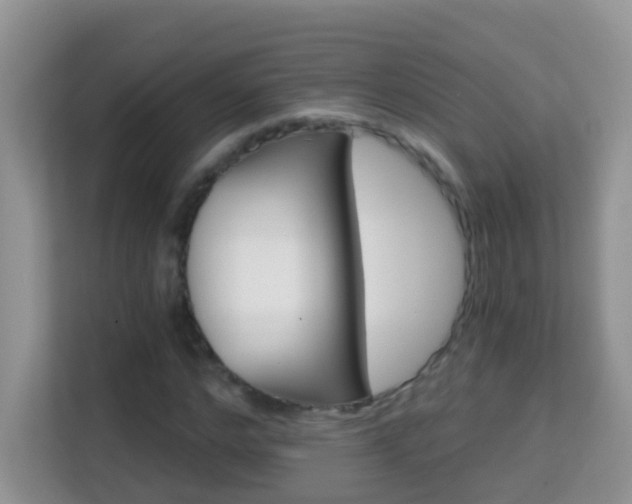 X0000114200968200910091249