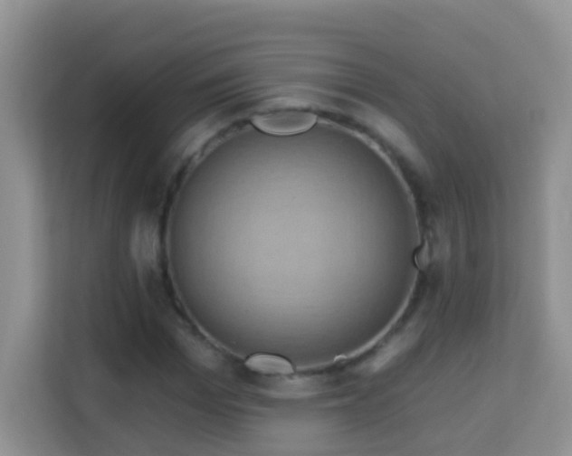 X0000114200969200910091249