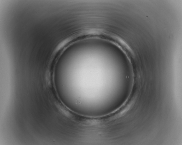 X0000114200970200910091249