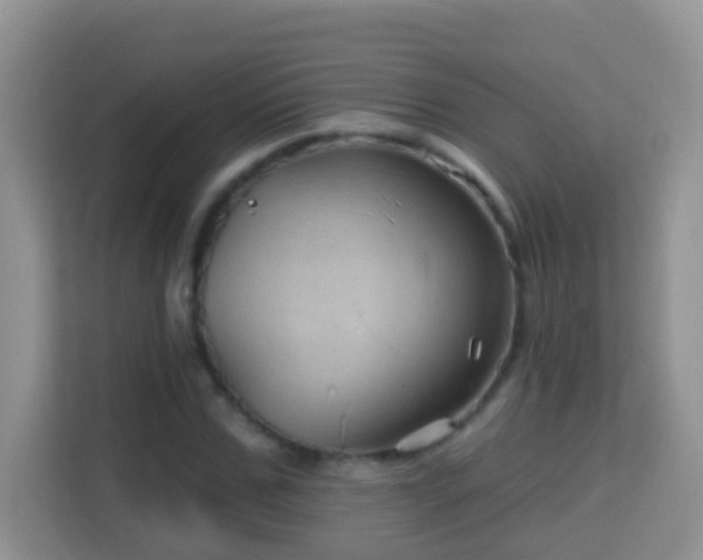 X0000114200971200910091249