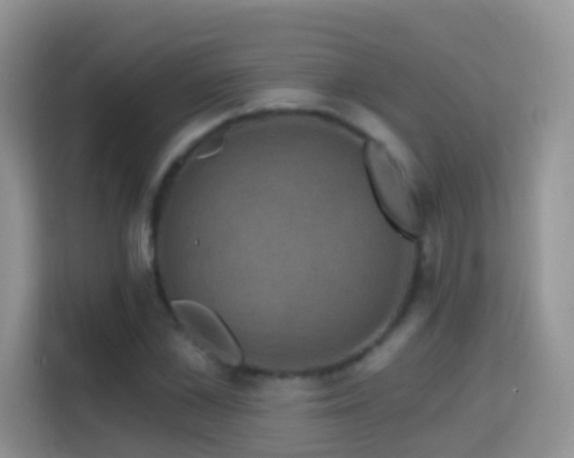 X0000114200973200910091249
