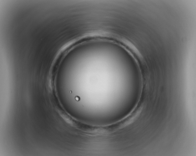 X0000114200974200910091249
