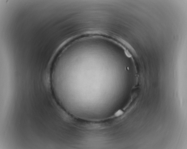 X0000114200976200910091249