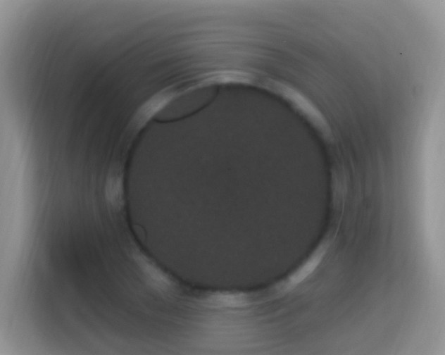 X0000114200977200910091249
