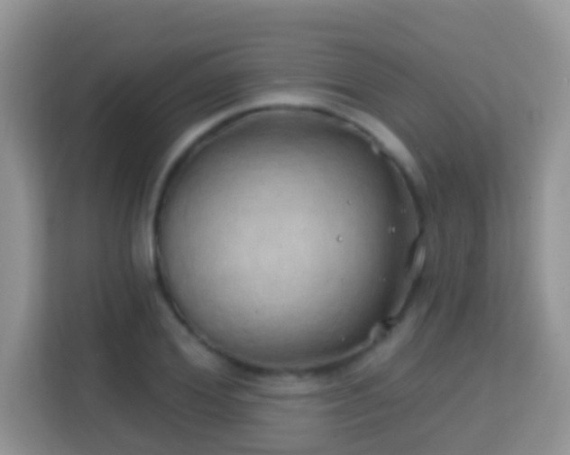 X0000114200980200910091249