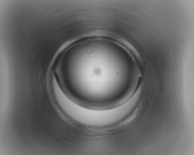 X0000114200981200910091249