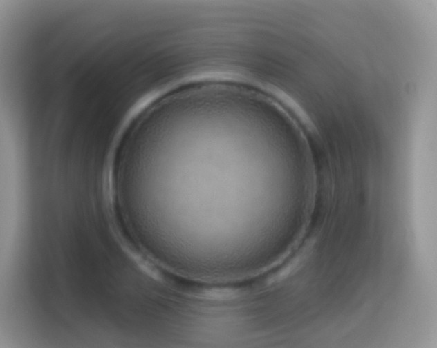 X0000114200982200910091249
