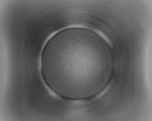 X0000114200988200910091249