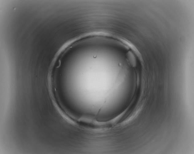 X0000114200989200910091249