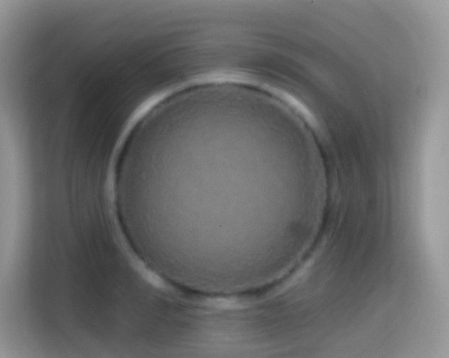 X0000114200990200910091249