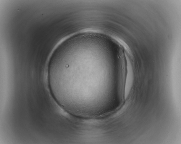 X0000114200992200910091249