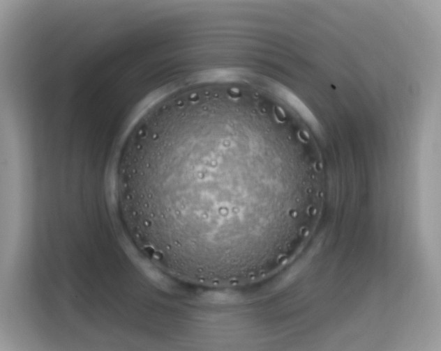 X0000114200994200910091249
