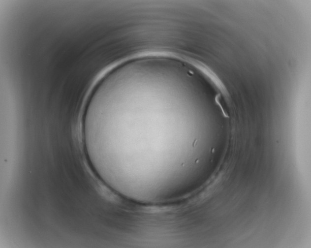 X0000114200996200910091249