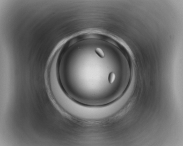 X0000114200997200910091249