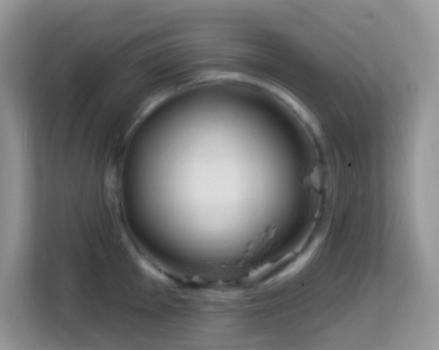 X0000114201001200910091249
