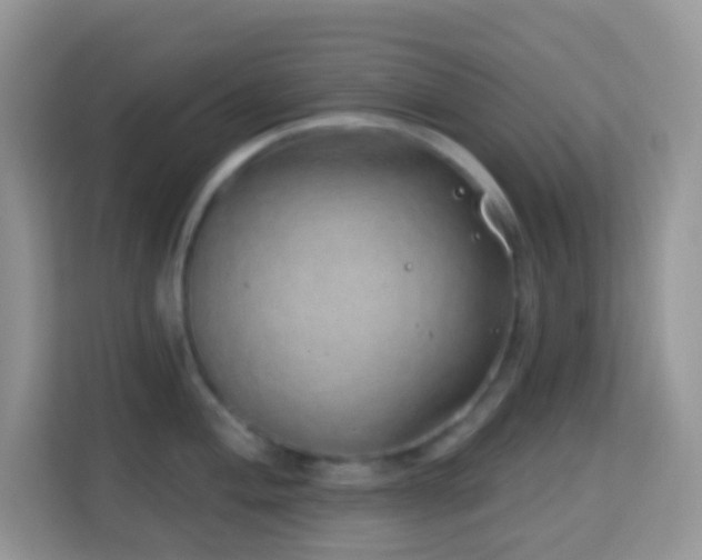 X0000114201004200910091249