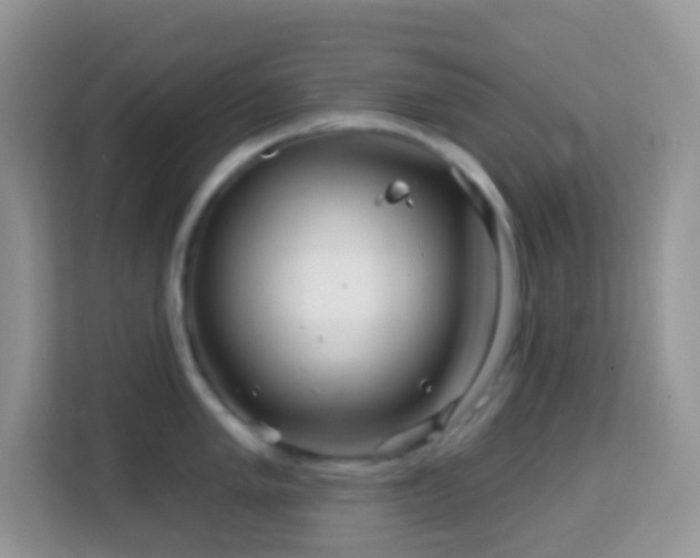 X0000114201005200910091249