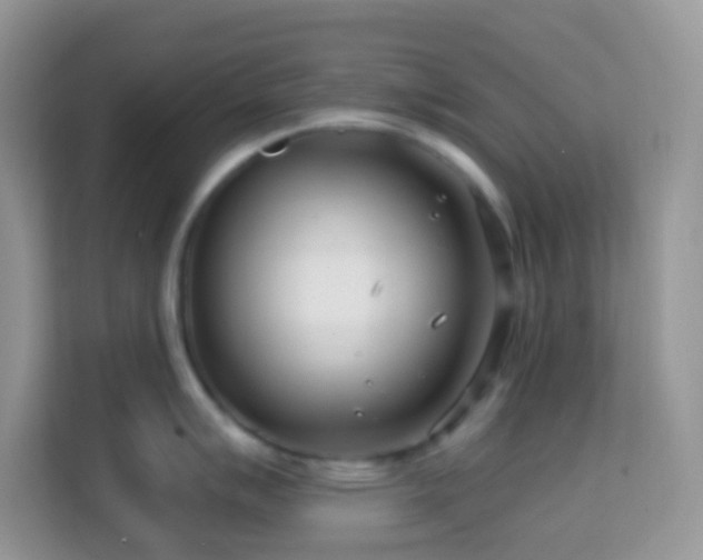 X0000114201007200910091249