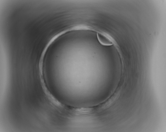 X0000114201008200910091249