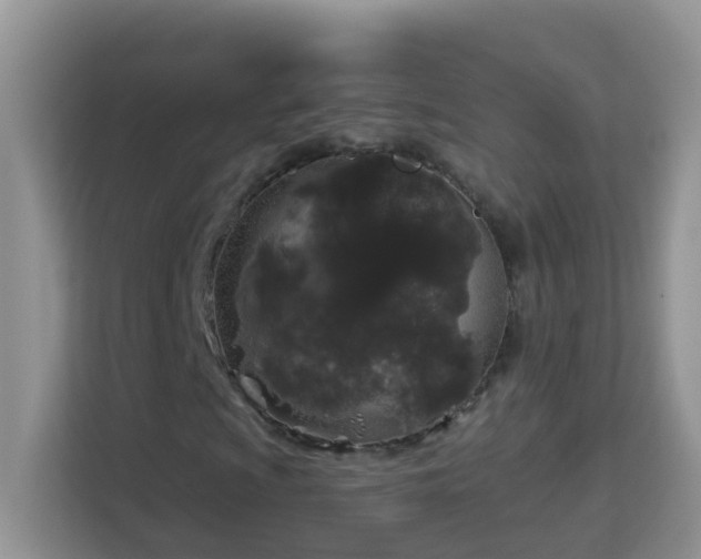 X0000114201009200910091248